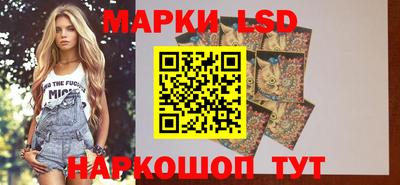 крисы Кинель