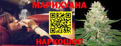 крисы Кинель