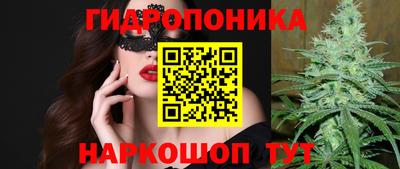 крисы Кинель