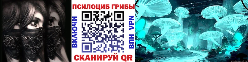 МЕГА tor продажа наркотиков Коряжма Псилоцибиновые грибы Cubensis