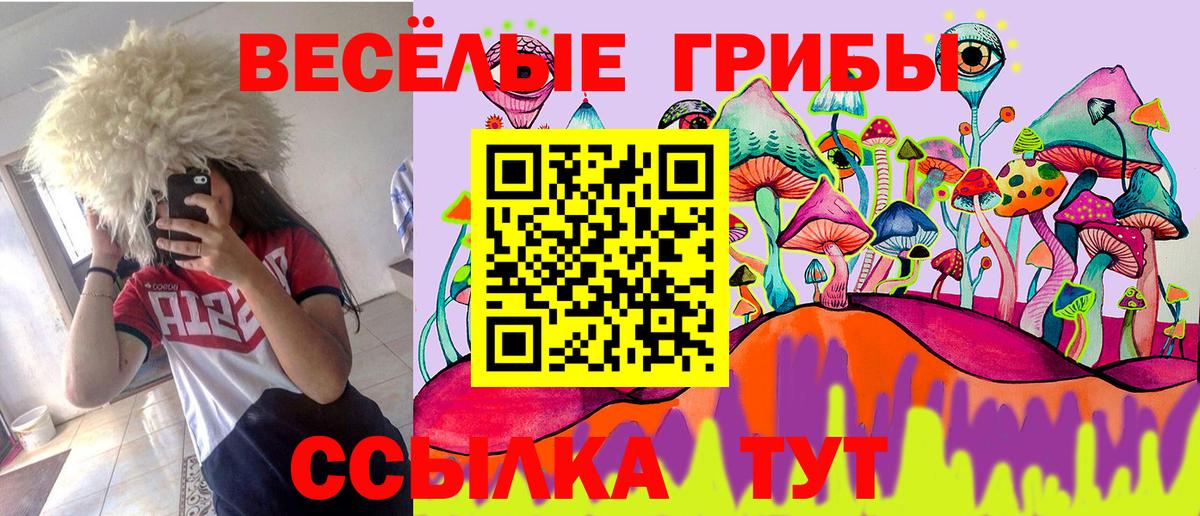 Псилоцибиновые грибы прущие грибы  Вход с VPN  Коряжма 