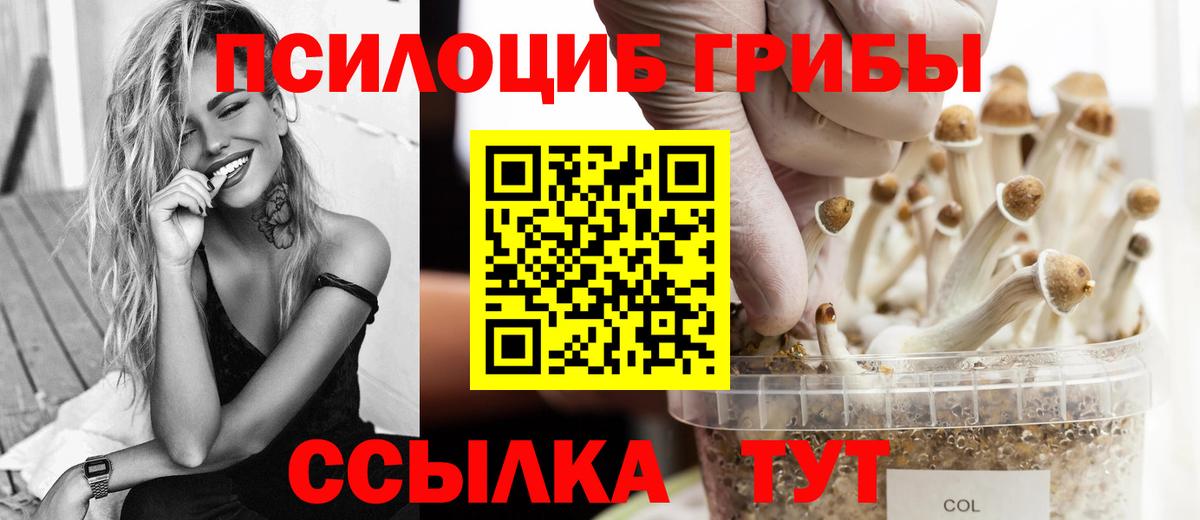Галлюциногенные грибы Magic Shrooms Коряжма